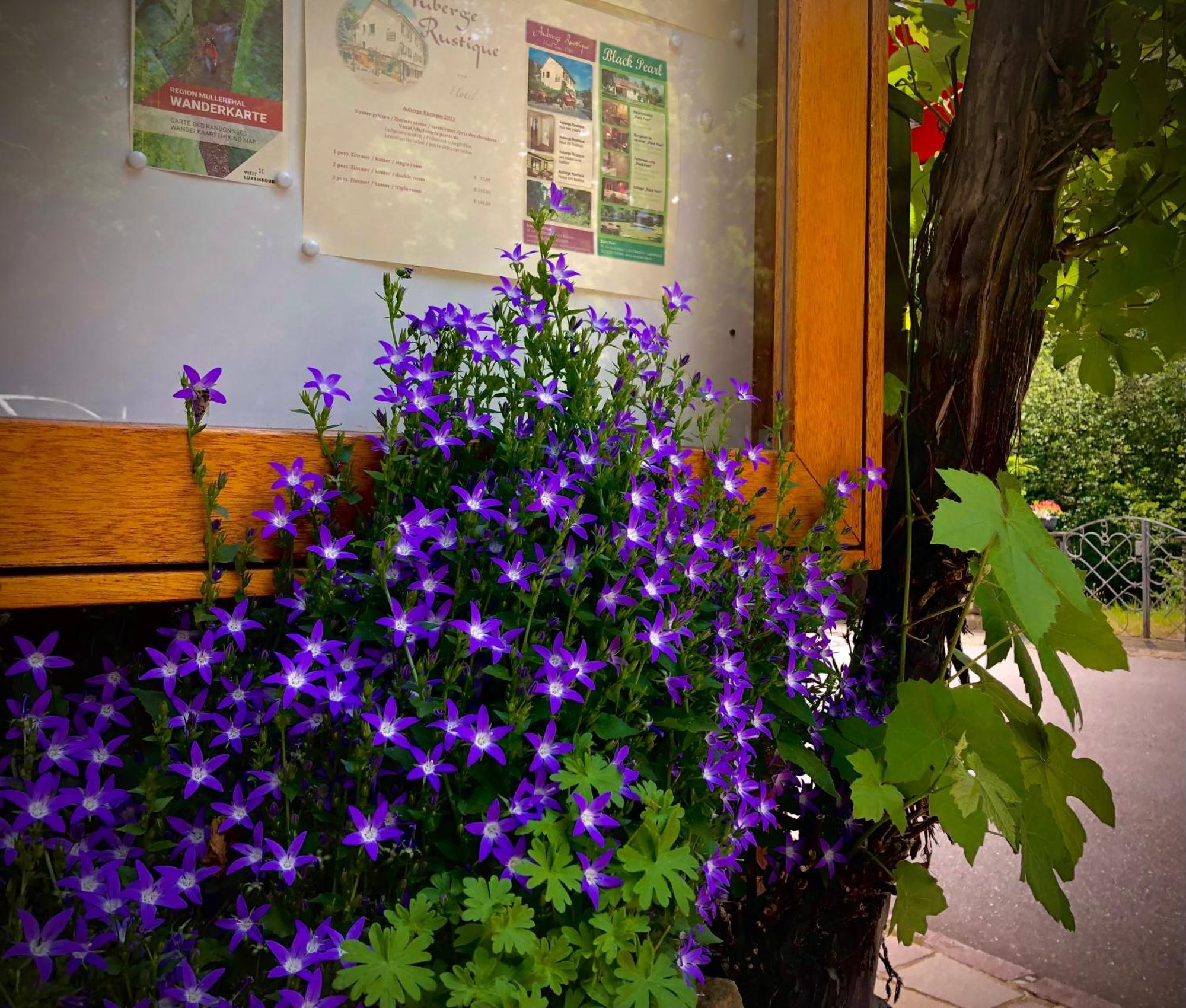 Hotel Auberge Rustique Beaufort Esterno foto